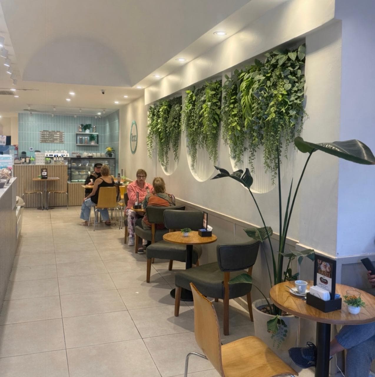 Plantas decorativas en hotel o showroom