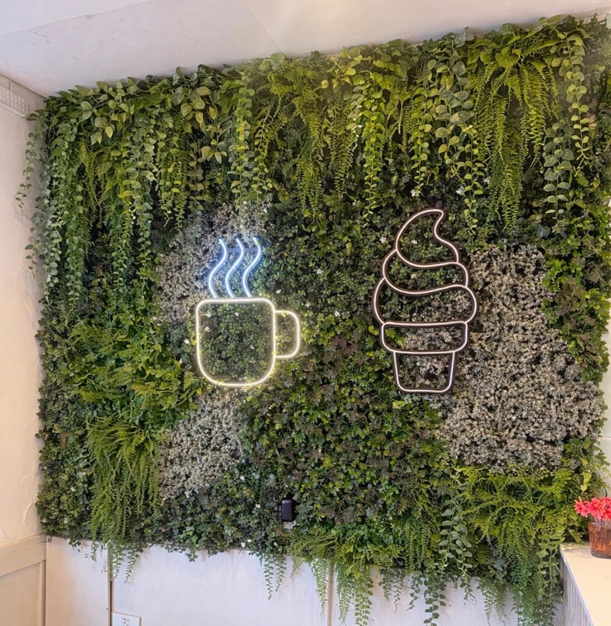 Jardín vertical con plantas colgantes