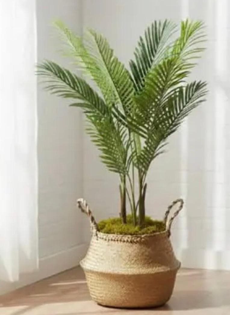Espacio decorado estilo minimalista