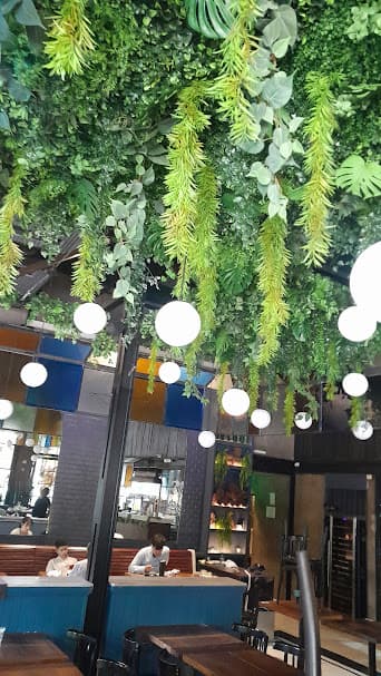 Plantas tropicales en espacio bohemio